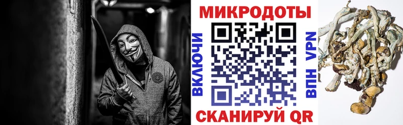 кракен ссылки цена наркотик Светлогорск Галлюциногенные грибы мухоморы